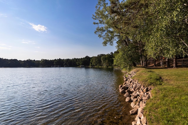 34779 County Road 39, Pequot Lakes, MN 56472 - water view featuring a heavily wooded area