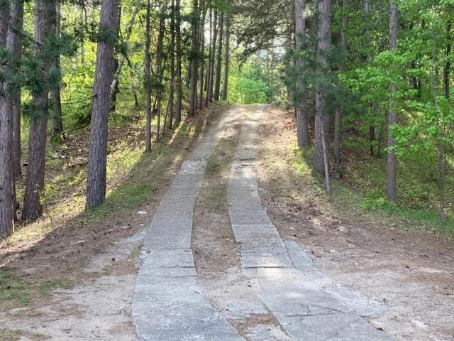 34779 County Road 39, Pequot Lakes, MN 56472 - view of street with a forest view