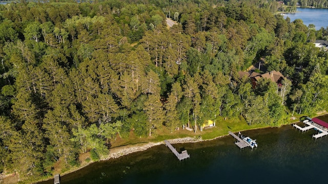 34779 County Road 39, Pequot Lakes, MN 56472 - aerial view of property and surrounding area with a forest and a large body of water