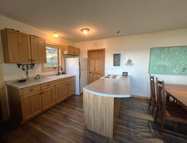 8291 Boy Lake Dr NE, Remer, MN 56672 - kitchen featuring freestanding refrigerator, a sink, dark wood-style floors, light countertops, and a textured ceiling