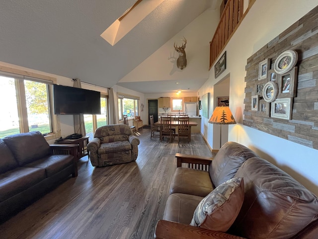 8291 Boy Lake Dr NE, Remer, MN 56672 - living room featuring high vaulted ceiling, dark wood-type flooring, and a skylight