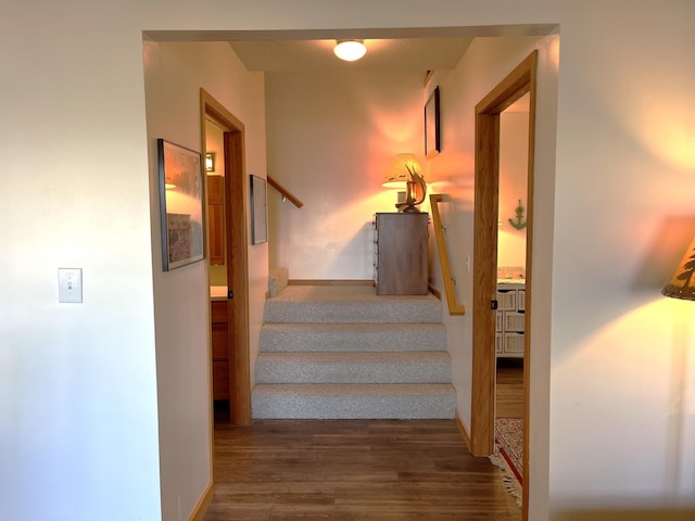 8291 Boy Lake Dr NE, Remer, MN 56672 - staircase featuring wood finished floors and baseboards