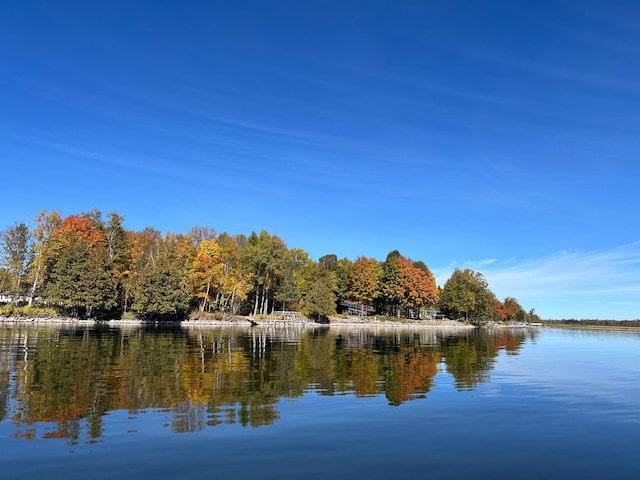 8291 Boy Lake Dr NE, Remer, MN 56672 - water view