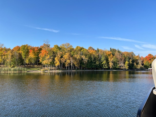 8291 Boy Lake Dr NE, Remer, MN 56672 - water view featuring a heavily wooded area