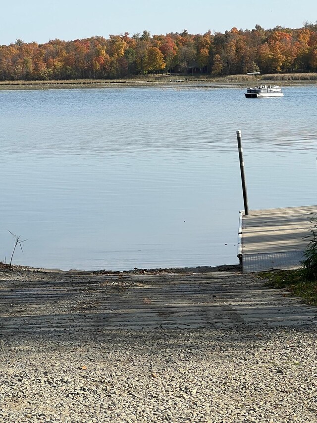 8291 Boy Lake Dr NE, Remer, MN 56672 - dock with a water view and a view of trees