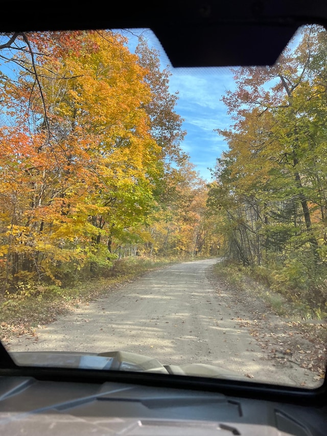 8291 Boy Lake Dr NE, Remer, MN 56672 - view of road