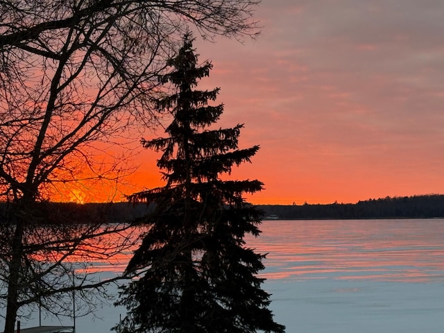 8291 Boy Lake Dr NE, Remer, MN 56672 - water view