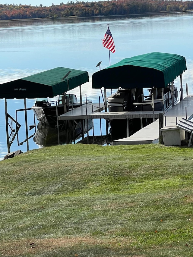8291 Boy Lake Dr NE, Remer, MN 56672 - photo 76