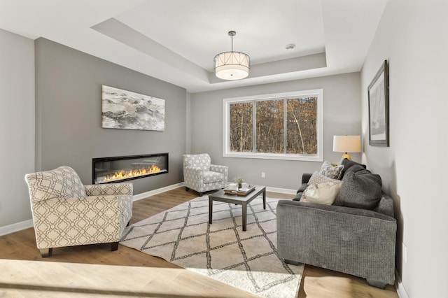 living room featuring hardwood / wood-style flooring and a raised ceiling