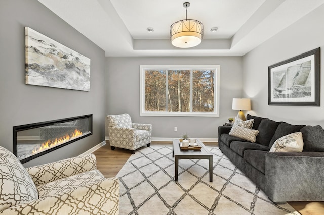 living room with a tray ceiling and wood-type flooring