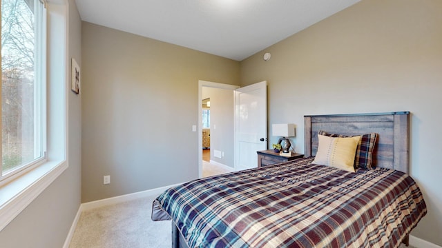 carpeted bedroom with multiple windows