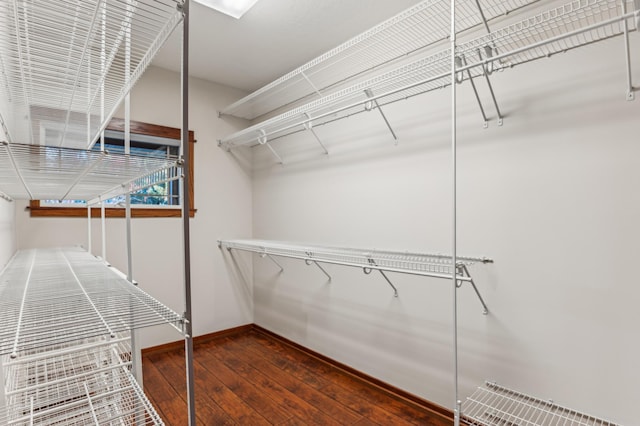 spacious closet featuring dark hardwood / wood-style flooring