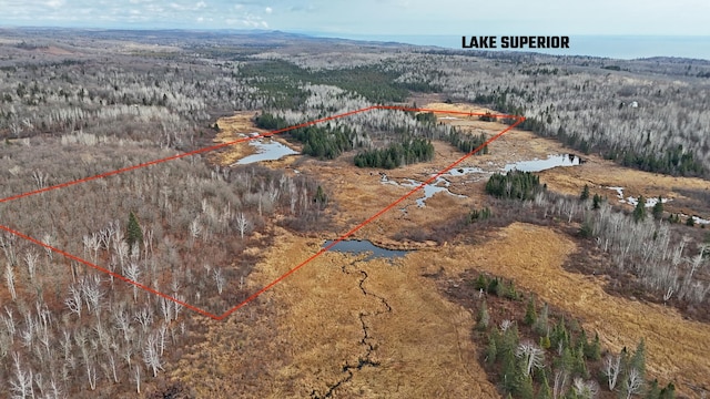 TBD Zekes Rd, Schroeder Twp, MN 55613 - photo 1