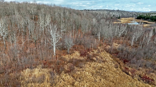 TBD Zekes Rd, Schroeder Twp, MN 55613 - photo 5