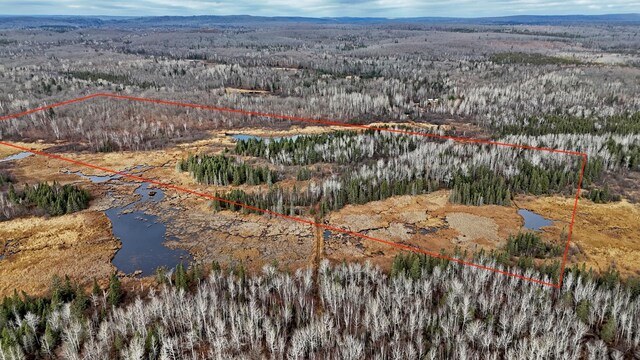 TBD Zekes Rd, Schroeder Twp, MN 55613 - photo 6