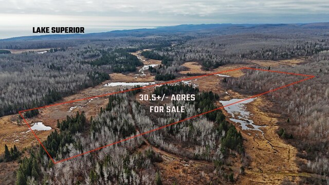 TBD Zekes Rd, Schroeder Twp, MN 55613 - photo 10