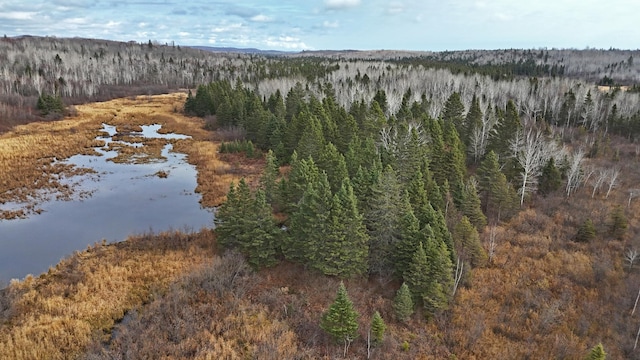 TBD Zekes Rd, Schroeder Twp, MN 55613 - photo 15