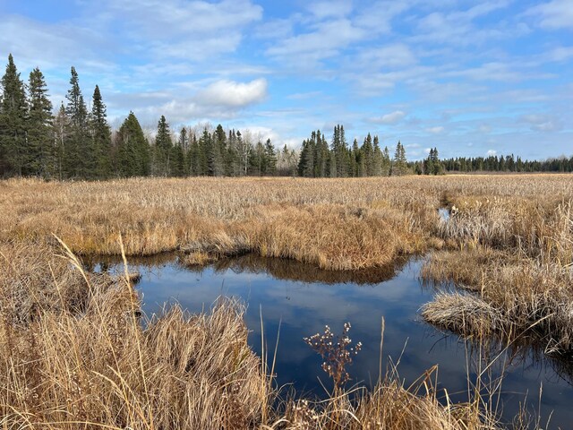TBD Zekes Rd, Schroeder Twp, MN 55613 - photo 20