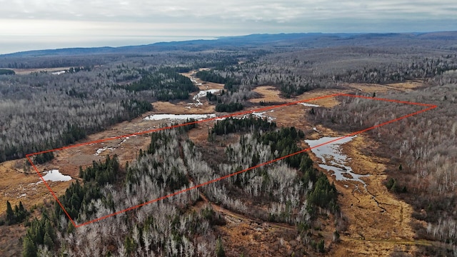 TBD Zekes Rd, Schroeder Twp, MN 55613 - photo 21