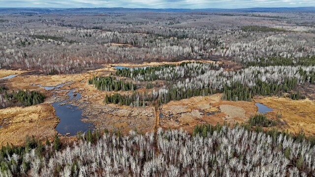 TBD Zekes Rd, Schroeder Twp, MN 55613 - photo 26