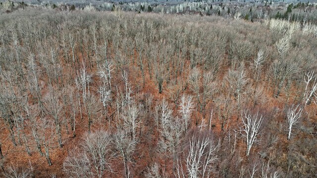 TBD Zekes Rd, Schroeder Twp, MN 55613 - photo 28