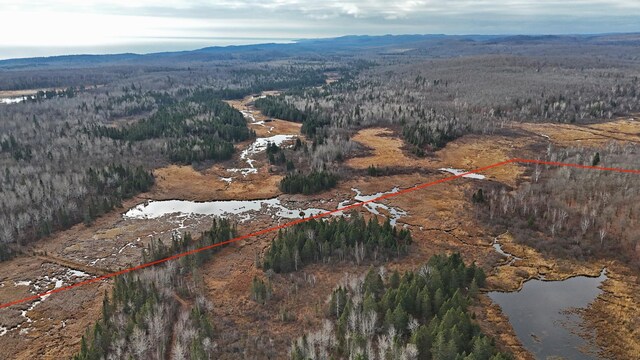 TBD Zekes Rd, Schroeder Twp, MN 55613 - photo 30