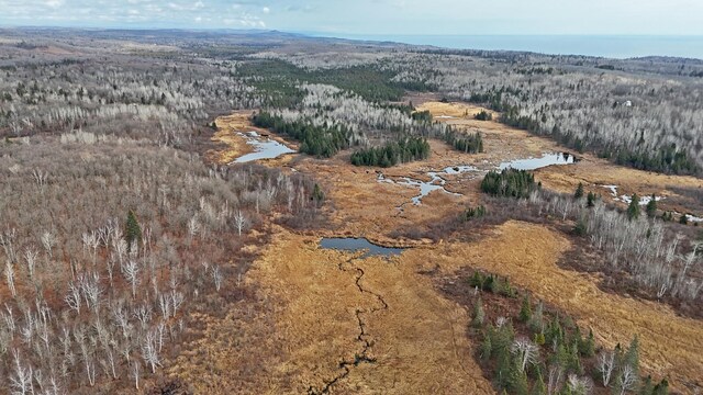 TBD Zekes Rd, Schroeder Twp, MN 55613 - photo 31