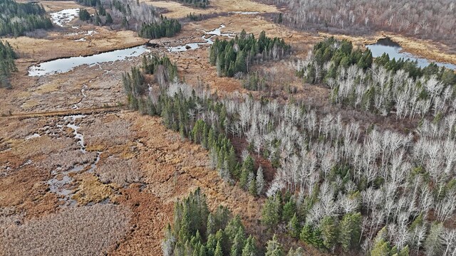 TBD Zekes Rd, Schroeder Twp, MN 55613 - photo 32