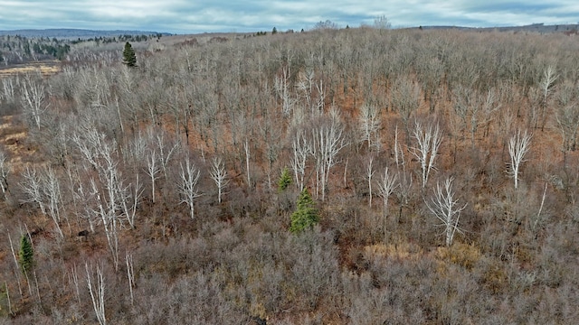 TBD Zekes Rd, Schroeder Twp, MN 55613 - photo 34