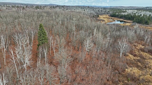 TBD Zekes Rd, Schroeder Twp, MN 55613 - photo 36