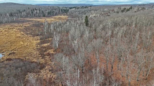 TBD Zekes Rd, Schroeder Twp, MN 55613 - photo 38