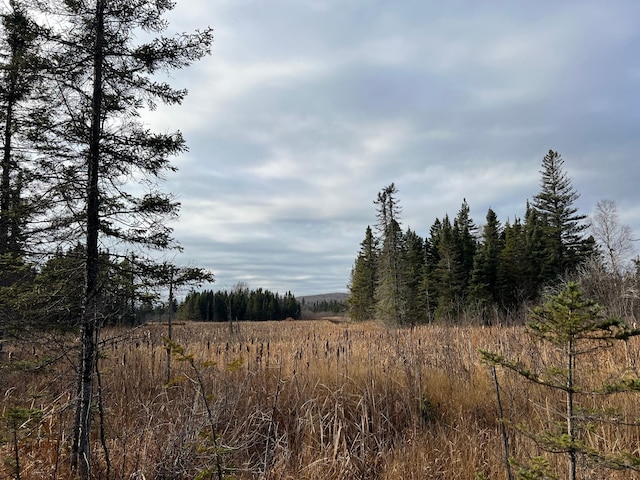 TBD Zekes Rd, Schroeder Twp, MN 55613 - photo 43