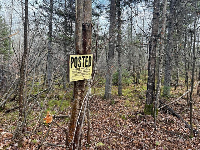 TBD Zekes Rd, Schroeder Twp, MN 55613 - photo 47