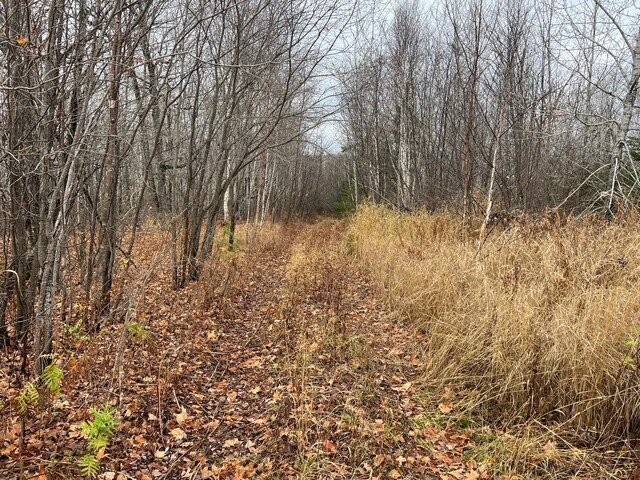 TBD Zekes Rd, Schroeder Twp, MN 55613 - photo 48