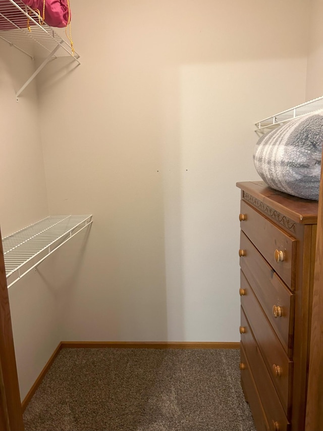 spacious closet featuring carpet flooring