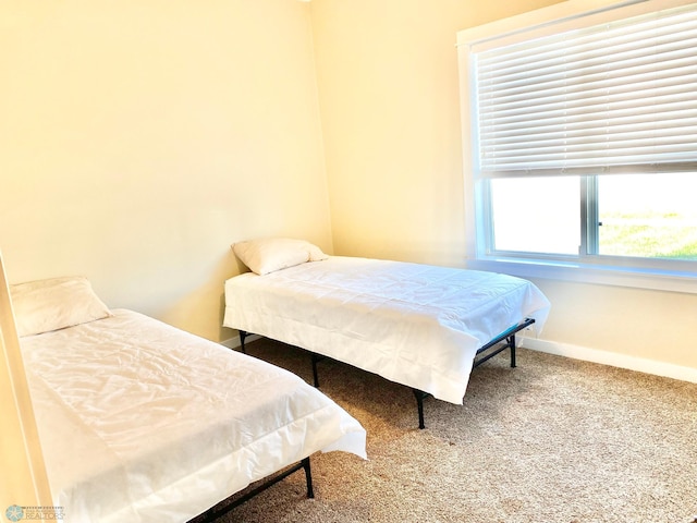 bedroom with carpet