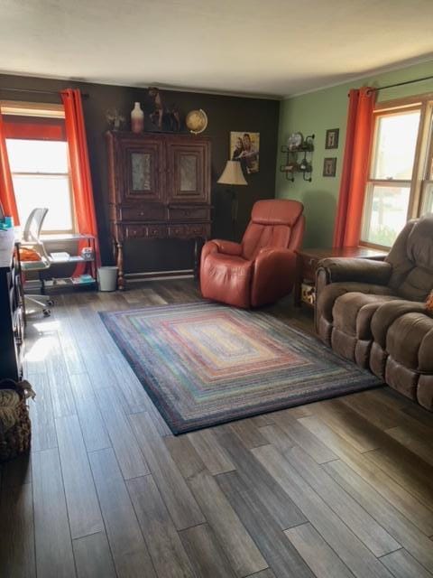 living room with dark hardwood / wood-style floors