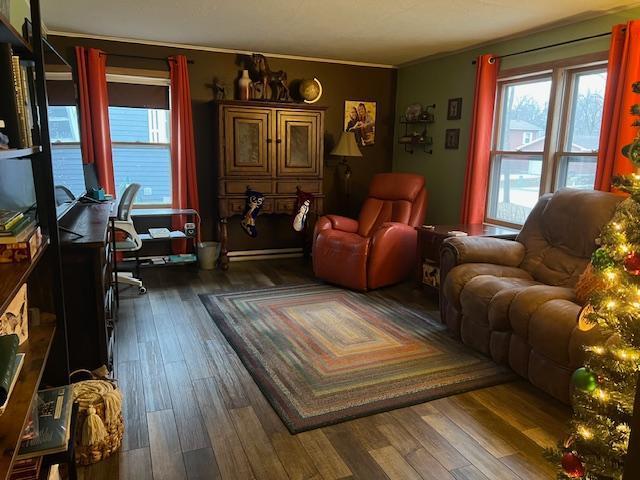 living room featuring dark wood-type flooring and ornamental molding