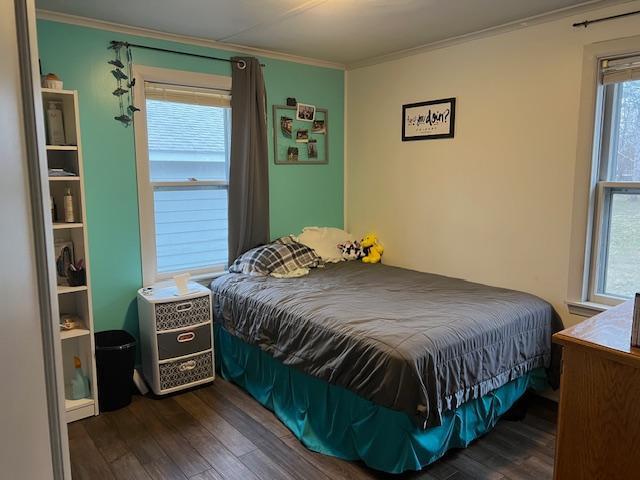 bedroom featuring crown molding, multiple windows, and dark wood-type flooring