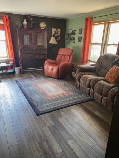 living room featuring hardwood / wood-style flooring