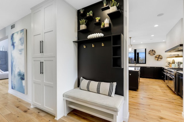 mudroom featuring light hardwood / wood-style flooring