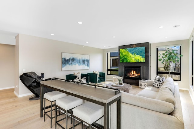 living room with a large fireplace and light hardwood / wood-style floors