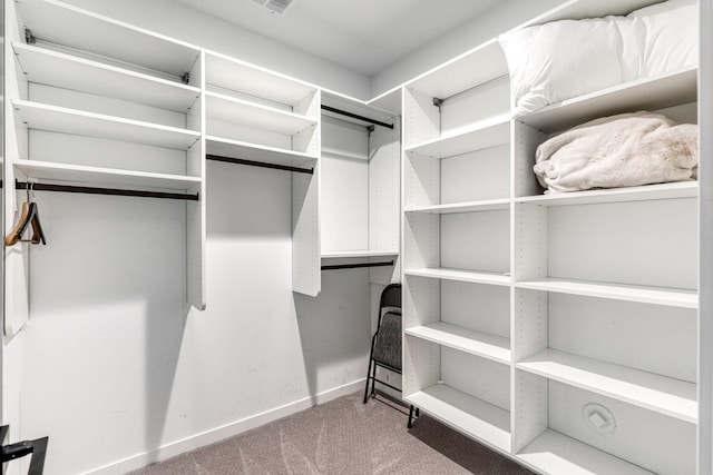 spacious closet with carpet floors