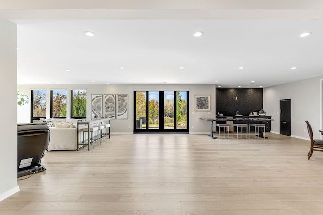 living room featuring light hardwood / wood-style flooring