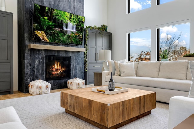 living room with light hardwood / wood-style floors