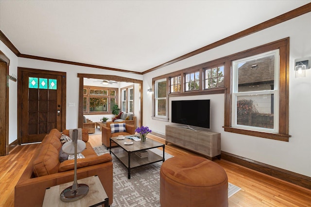 living room with crown molding, hardwood / wood-style flooring, and ceiling fan