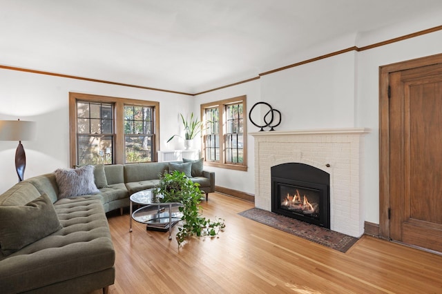 living room featuring ornamental molding, a fireplace, and light hardwood / wood-style floors