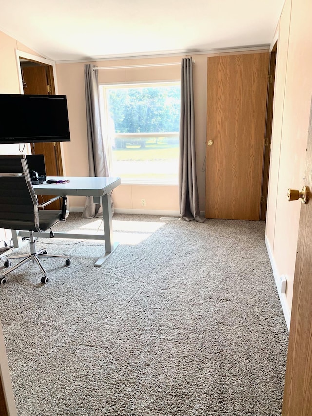 office area with carpet