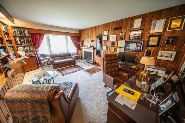 1425 20th St SW, Rochester, MN 55902 - carpeted living area featuring wooden walls and a fireplace with raised hearth