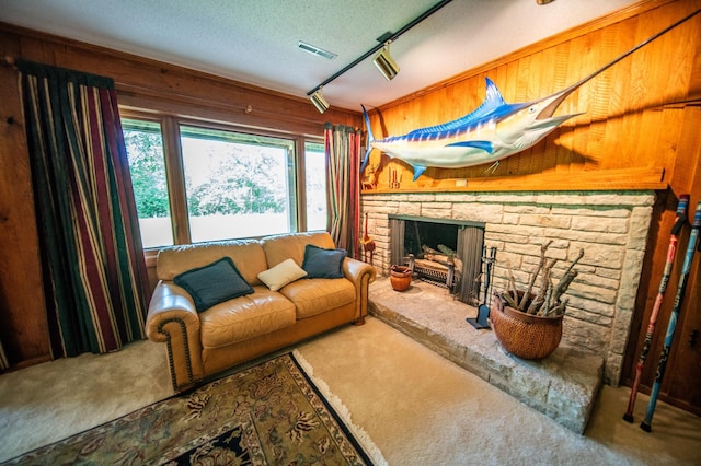 1425 20th St SW, Rochester, MN 55902 - living room with carpet floors, a stone fireplace, wood walls, a textured ceiling, and track lighting